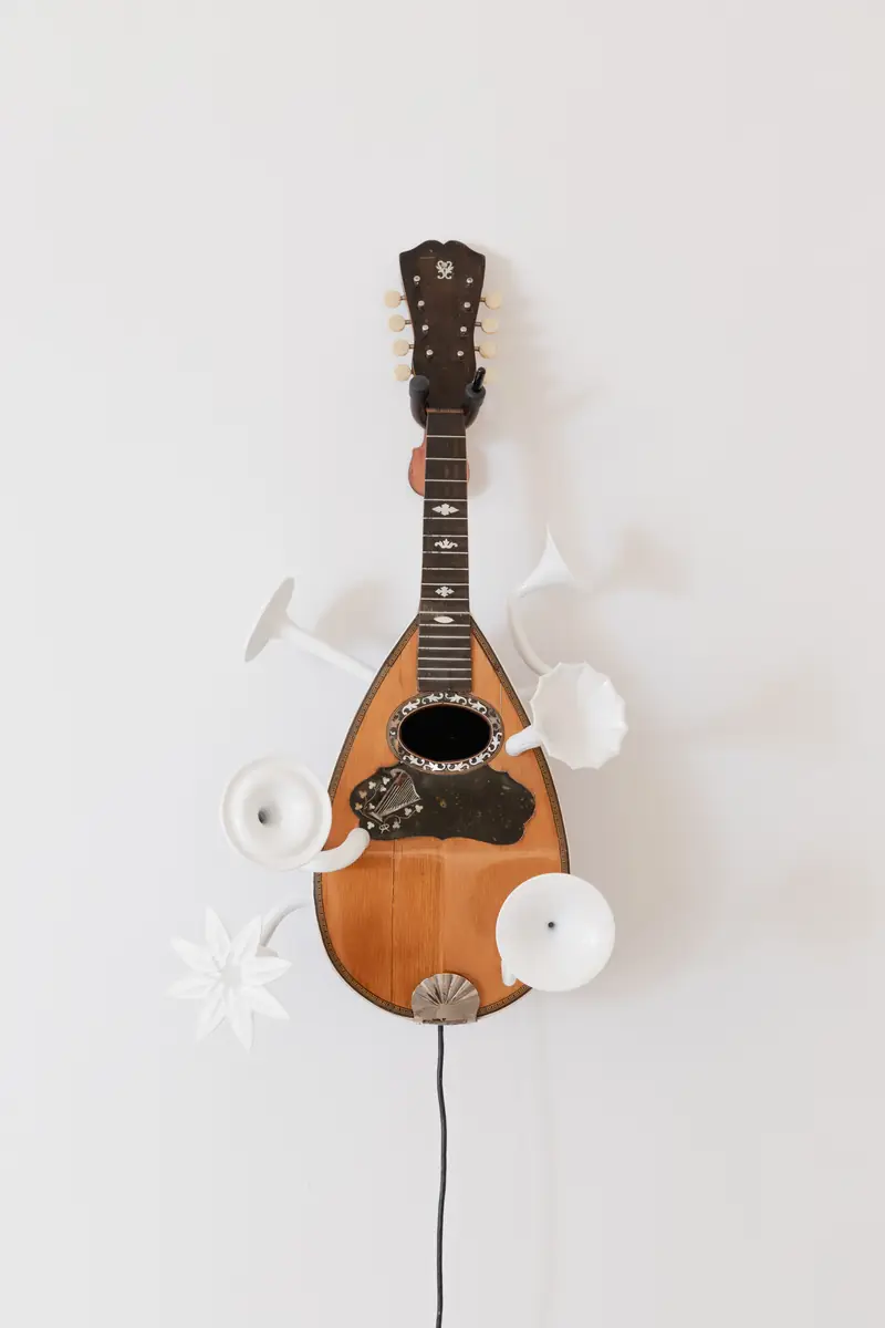 Mandolino aumentato
