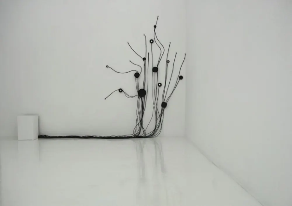 Ivy Noise